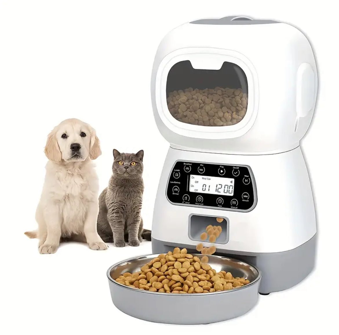 Automatic cat food dispenser with open top viewing window and serving bowl