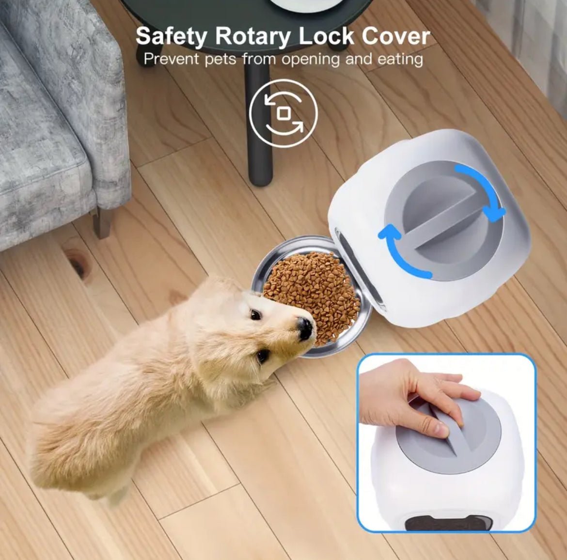 Automatic cat feeder with rotary lock cover, dog looking at closed food compartment