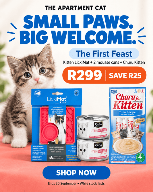 The First Feast kitten bundle spring special with a kitten LickiMat, two Kit Cat Kitten Mousse cans and INABA Churu Kitten treats, R299 and save R25.