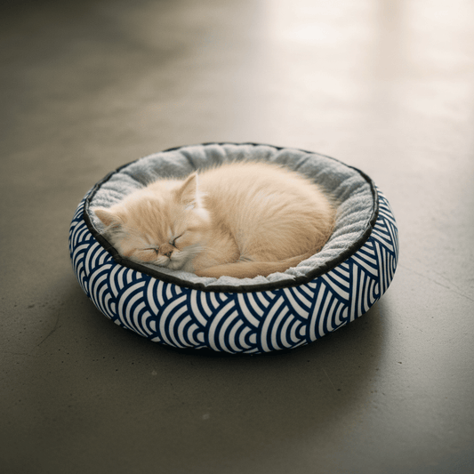 Reversible plush kitten bed with blue wave outer and light gray rim, kitten sleeping inside