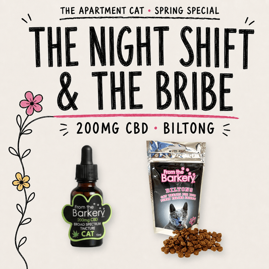 The Night Shift and the Bribe 200mg CBD and biltong spring special