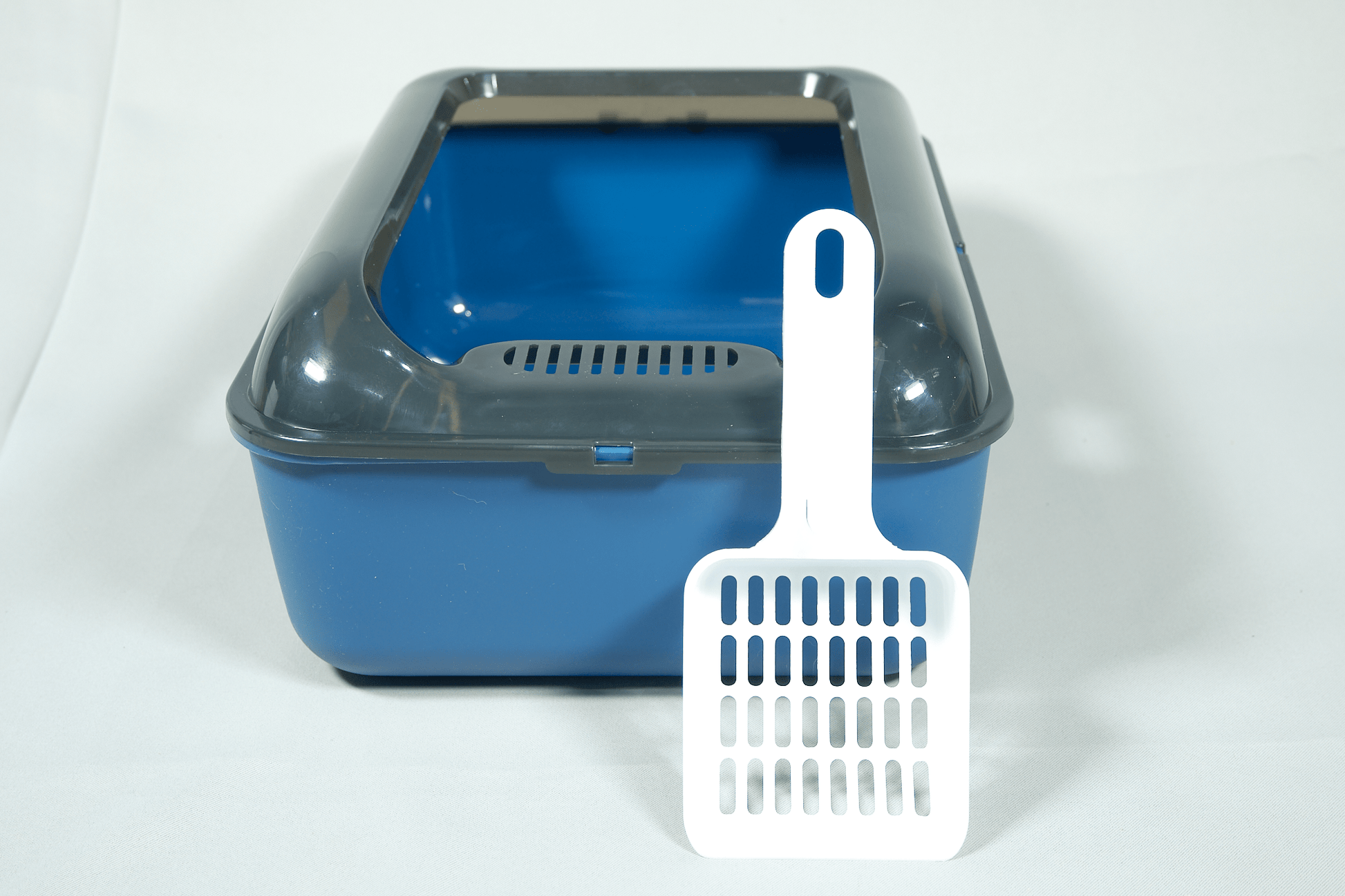 Blue cat litter box with dark gray lid and white scoop