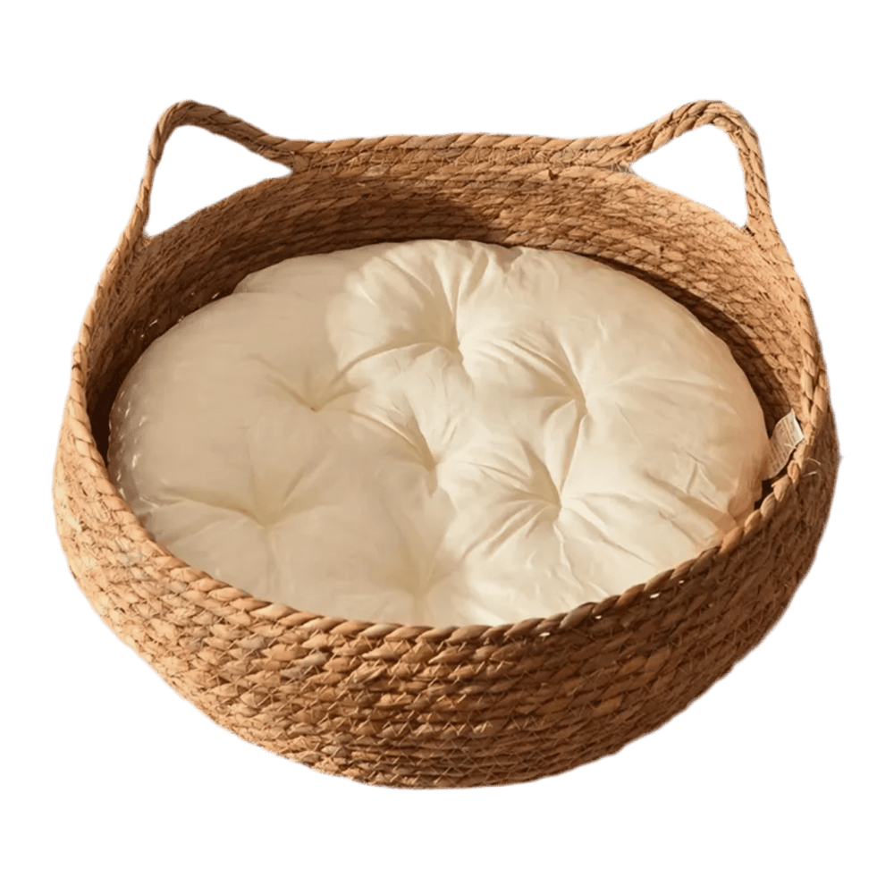 Woven elevated cat bed with brown woven basket and cream padded cushion