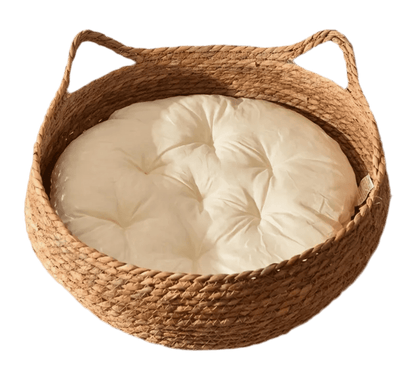 Woven elevated cat bed with brown woven basket and cream padded cushion