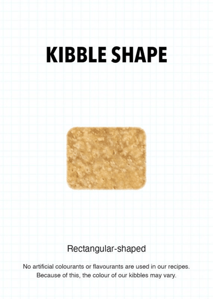 Adult cat food kibble shape detail showing rectangular kibble
