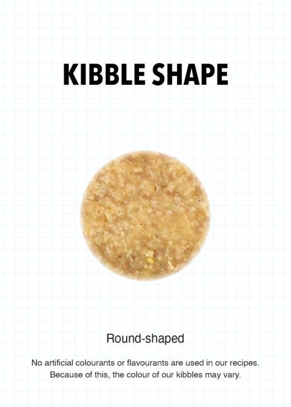 Round-shaped kitten kibble pieces, light brown, for dry food feeding.