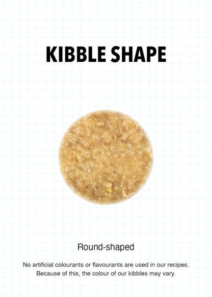 Round-shaped kitten kibble pieces, light brown, for dry food feeding.
