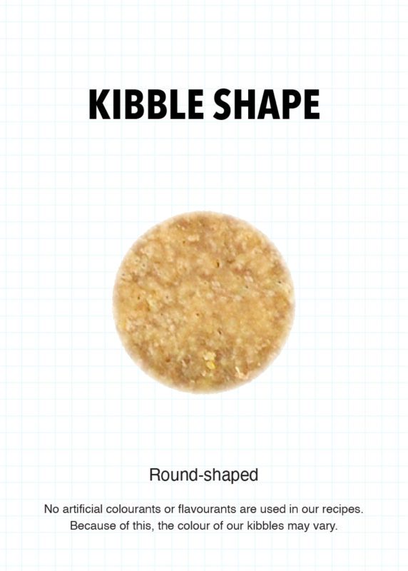 Round grain-free cat food kibble, small beige pellets